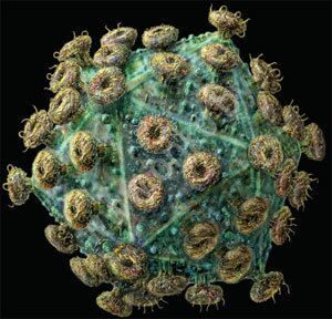 Вирус ВИЧ под микроскопом